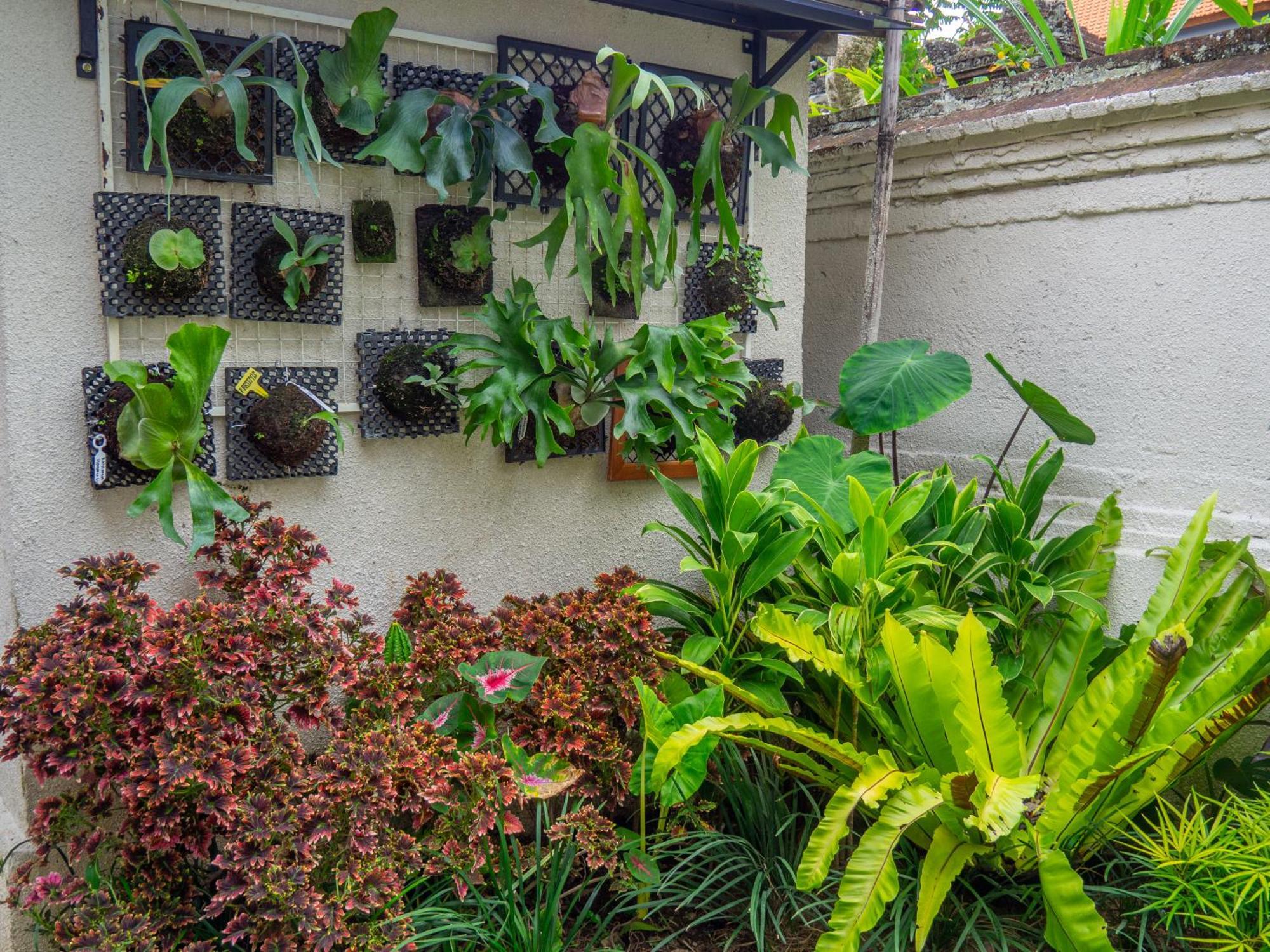 Arumasta Ubud Екстериор снимка